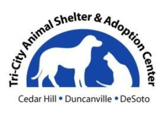 animal shelter logo